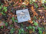 image of grave number 374062